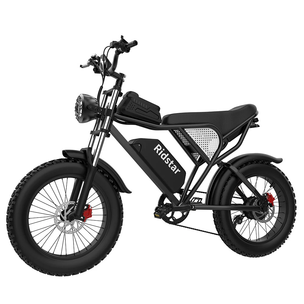 [EU DIRECT] Ridstar Q20 Electric Bike 48V 20AH Battery 1000W Motor 20inch Tires 70-90KM Max Mileage 150KG Max Load Electric Bicycle