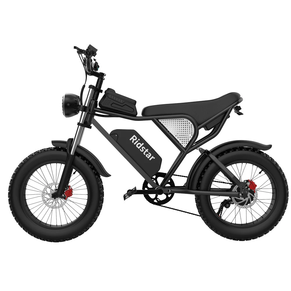 [EU DIRECT] Ridstar Q20 Electric Bike 48V 20AH Battery 1000W Motor 20inch Tires 70-90KM Max Mileage 150KG Max Load Electric Bicycle