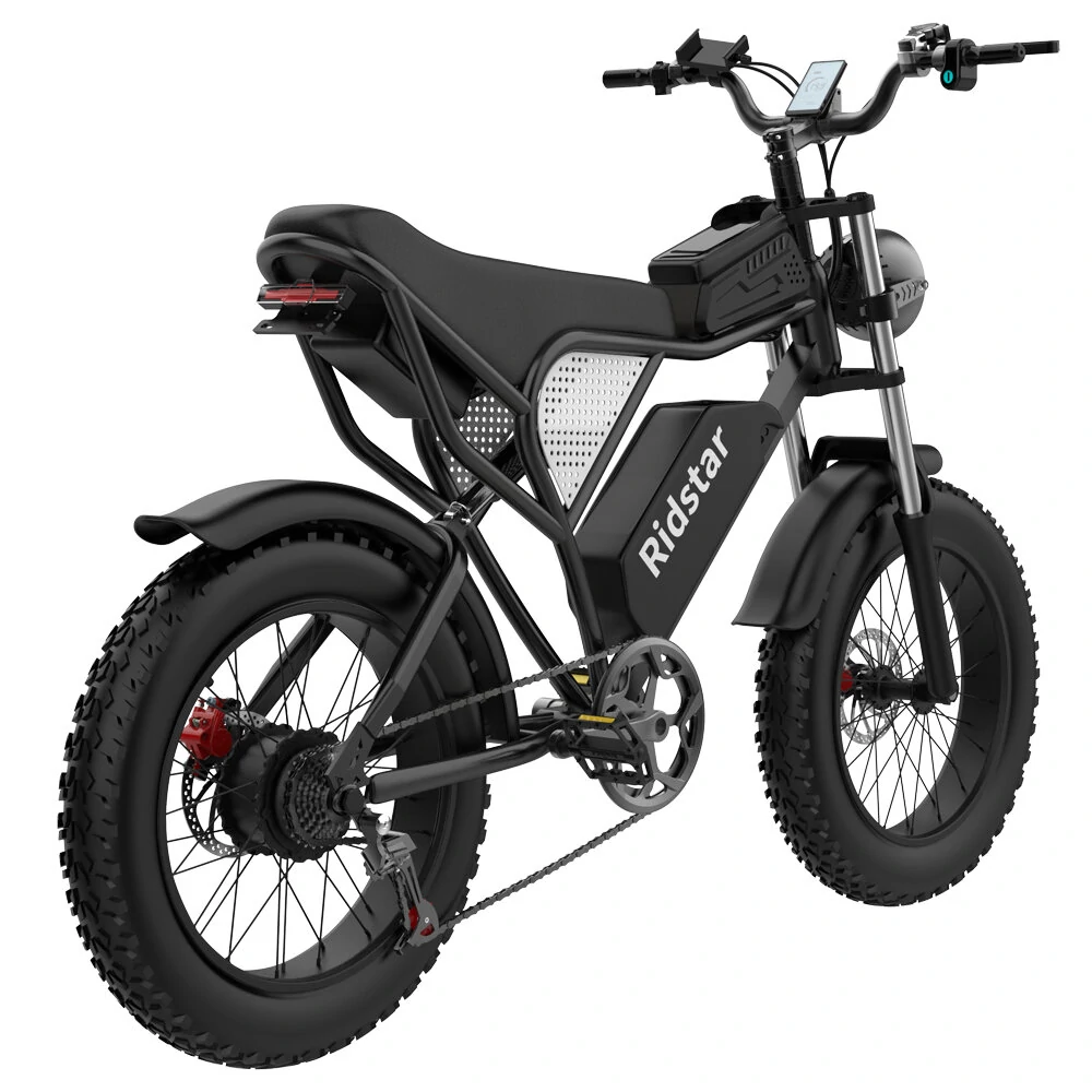 [EU DIRECT] Ridstar Q20 Electric Bike 48V 20AH Battery 1000W Motor 20inch Tires 70-90KM Max Mileage 150KG Max Load Electric Bicycle