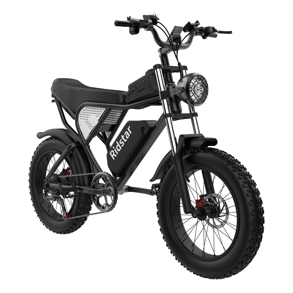 [EU DIRECT] Ridstar Q20 Electric Bike 48V 20AH Battery 1000W Motor 20inch Tires 70-90KM Max Mileage 150KG Max Load Electric Bicycle