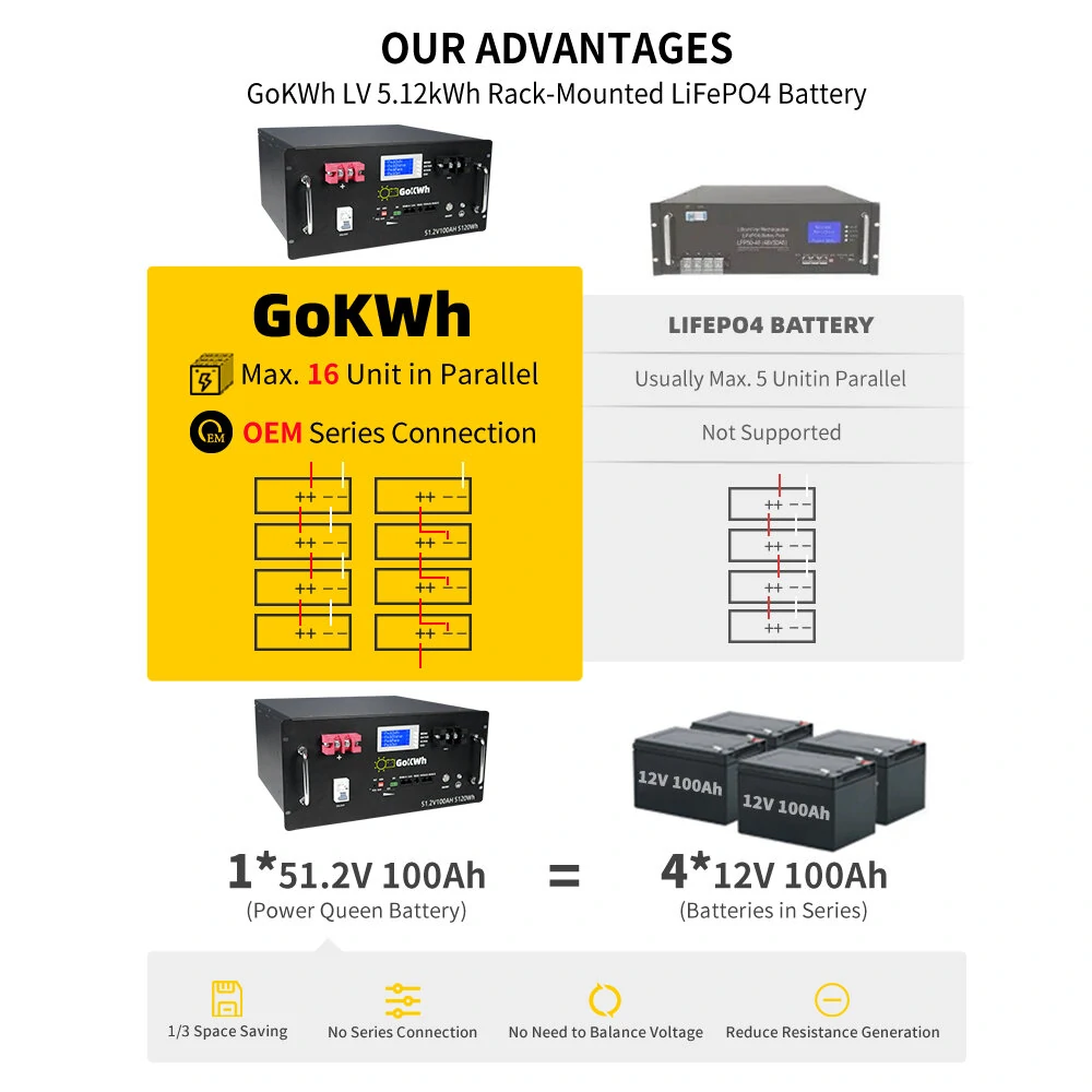 Gokwh 5120Wh Energy Storage Box LiFePO4 16PCS 100Ah Assembled Battery for RV & Boat IP20 Built-in BMS