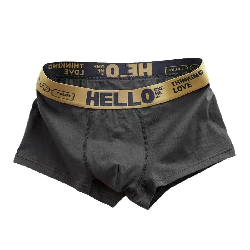5pcs Men's Simple Cotton Boxer Briefs with Letter Print Waistband Large Size Comfy Breathable Solid Color Boxer Underwear Underpants
