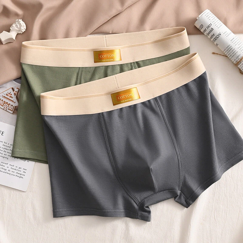 4pcs Men's Underwear Boxer Briefs Breathable Comfortable Short Leg Cotton Trunks Plus Size Panties Underwear L-4XL