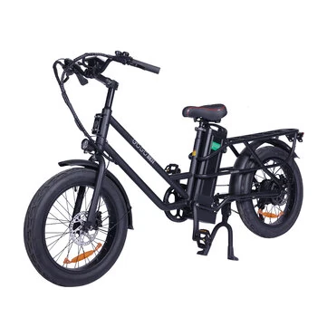 [EU DIRECT] GOGOBEST GF200 48V 15.6AH 500W 20 Inch Electric Bicycle 80KM Mileage Range Max Load 200KG