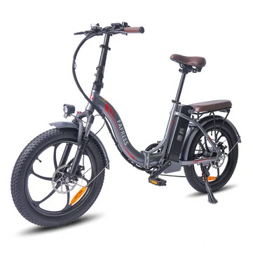 [EU DIRECT] FAFREES F20 PRO Electric Bike 36V 18AH Battery 250W Motor 20x3.0inch Tires 25KM/H Top Speed 120-150KM Max Mileage 150KG Max Load Folding Electric Bicycle