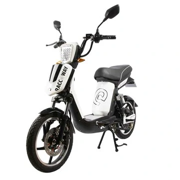 [EU Direct]  RACCEWAY® E-BABETA® MOTOE-1B Electric Scooter 48V 12AH 576Wh 250W Motor 18inch Tires 45KM Mileage 120KG Payload Electric Motorcycle EEC COC Certification