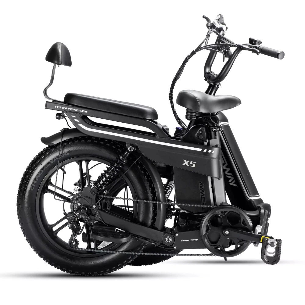 [EU DIRECT] TESWAY X5 Electric Bike 48V 30AH 250W(MAX 750W) Motor 20inch 100-130KM Max Mileage 150KG Max Load Electric Bicycle
