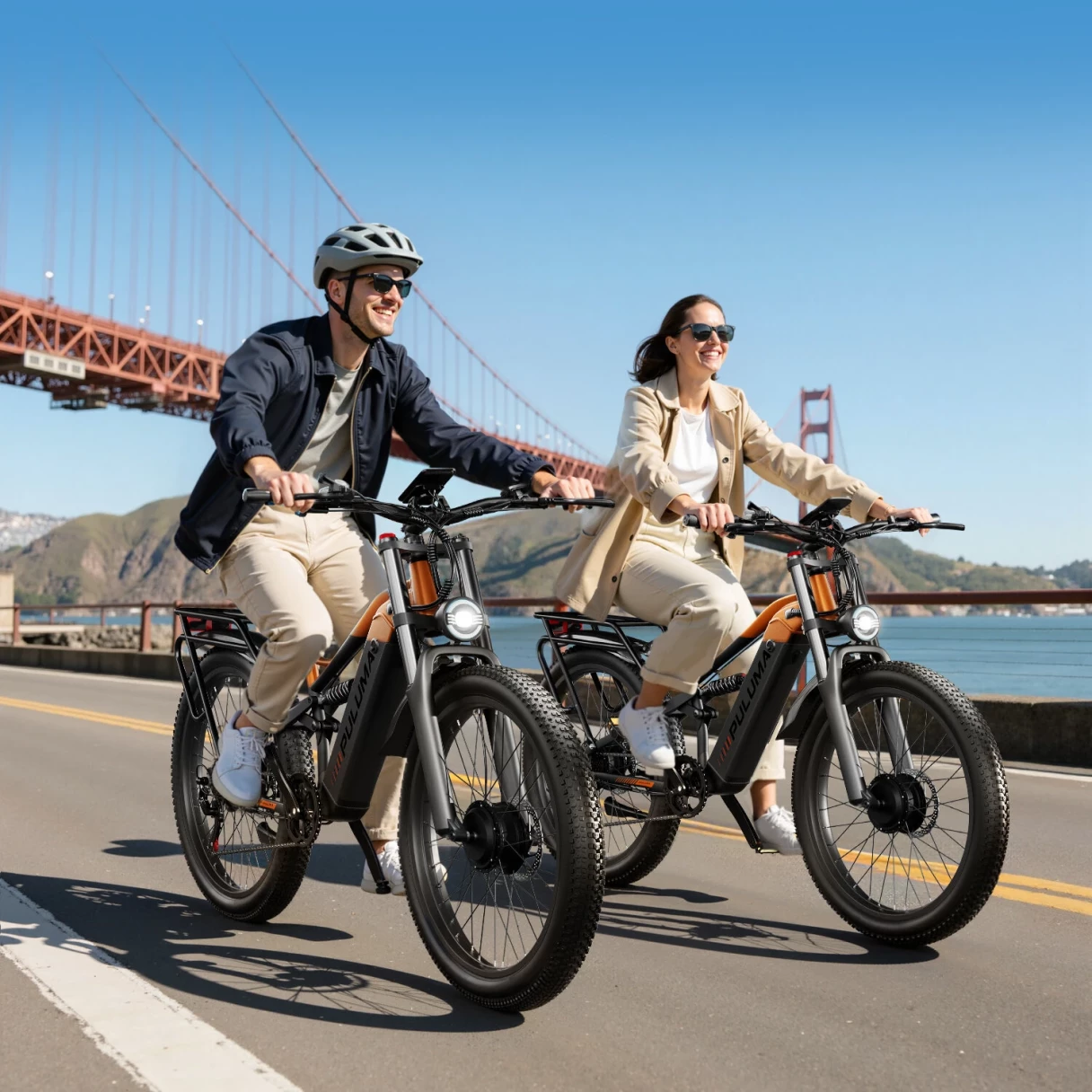 [EU DIRECT] PULUMA PE86 PRO Electric Bike 48V 20Ah SamsungBattery 500W*2 Dual Motors 26inch Tires Torque Sensor 150KM Mileage Range 150KG Max Load Electric Bicycle