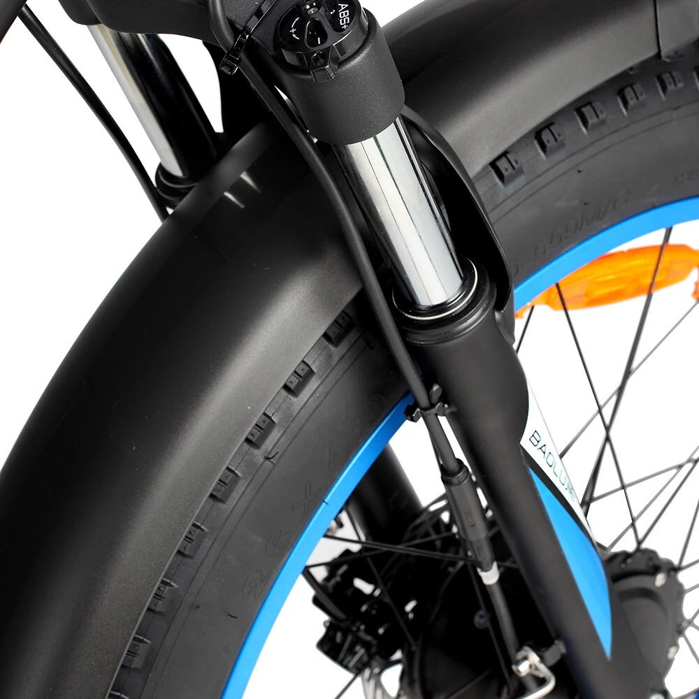 [EU DIRECT] BAOLUJIE DP2602-1 Electric Bike 48V 20Ah Battery 1000W*2 Dual Motor 26inches Tires 50-65KM Max Mileage 150KG Max Load Electric Bicycle
