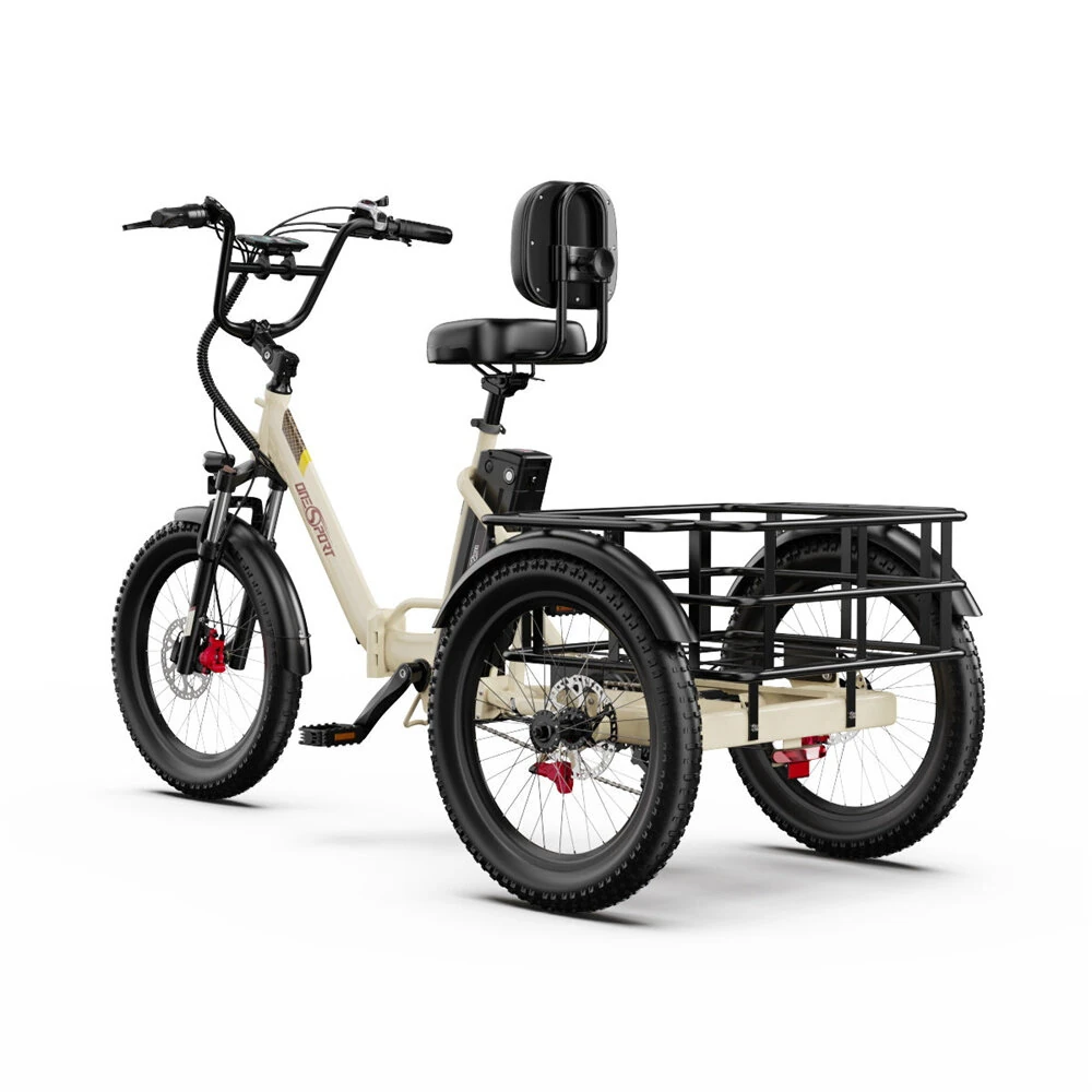 [EU DIRECT] Refurbished Onesport OT30 PRO Electric Tricycle 48V 18Ah Battery 250W Motors 20*3.0inch Tires 80-90KM Max Mileage 180KG Max Load Folding Electric Bicycle