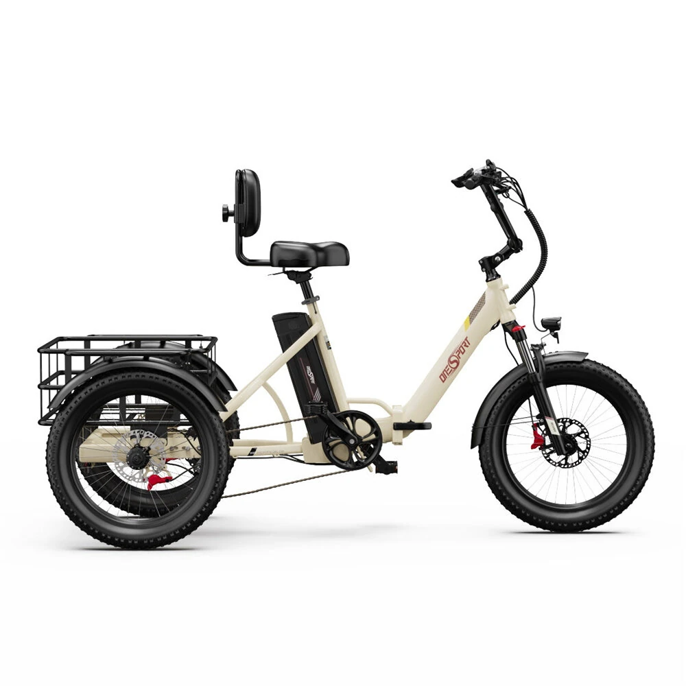 [EU DIRECT] Refurbished Onesport OT30 PRO Electric Tricycle 48V 18Ah Battery 250W Motors 20*3.0inch Tires 80-90KM Max Mileage 180KG Max Load Folding Electric Bicycle