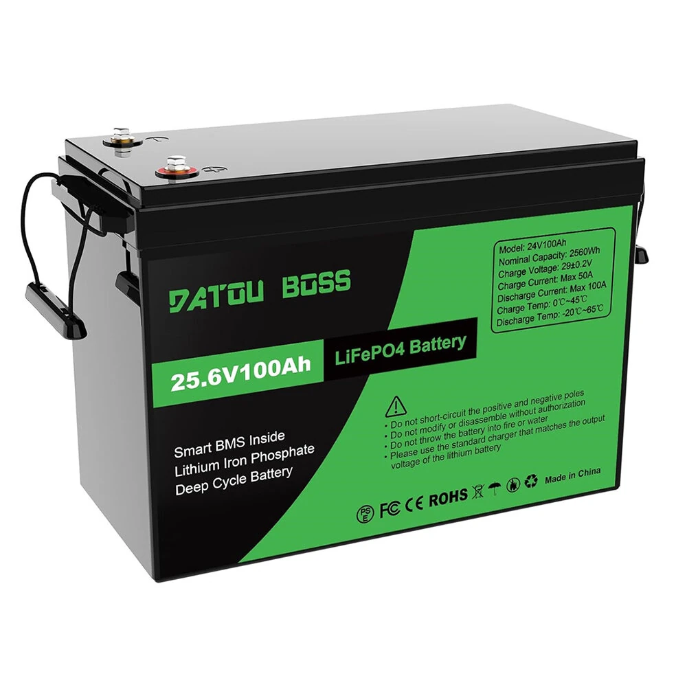 [EU Direct] DATOUBOSS LiFePO4 Battery 24V 48V 100Ah 2560Wh/5120Wh with Upgraded BMS 100A Max Depth Cycle 8000 Cycles Support Series/Parallel for RV Solar Panel Marine Home