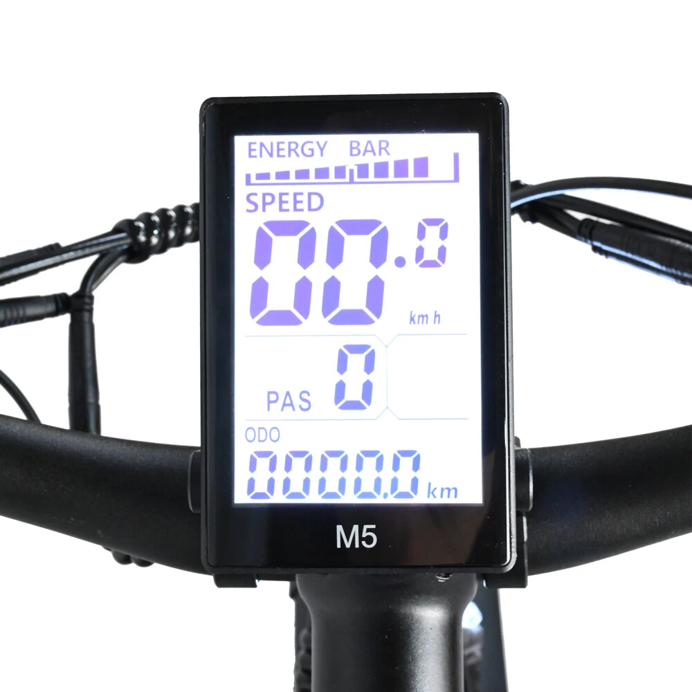 [EU DIRECT] BAOLUJIE DP2619 Electric Bike 48V 13AH Battery 750W Motor 26*4.0inch Tires 35-45KM Max Mileage 120KG Max Load Electric Bicycle