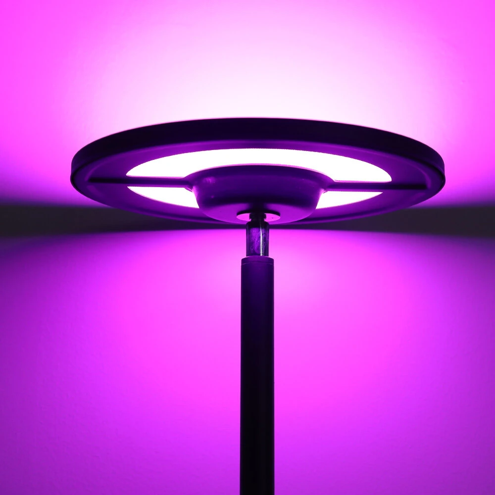 BlitzWill® BWL-FL4 25W Smart RGB Floor Lamp With Up & Down Ambient Light 2000LM 16M Colors Stepless Dimming APP & Voice Control