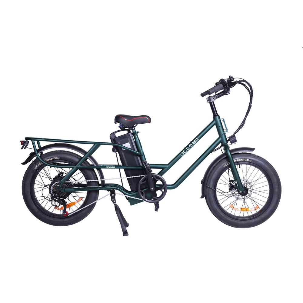 [EU DIRECT] GOGOBEST GF200 48V 15.6AH 500W Recommended Top Speed 25KM/H 20 Inch Electric Bicycle 80KM Mileage Range Max Load 200KG