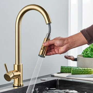 304 Stainless Steel Pull-out Faucet Straight Nozzle Kitchen Pull-Out Faucet with Sprayer Mode Steam Mode