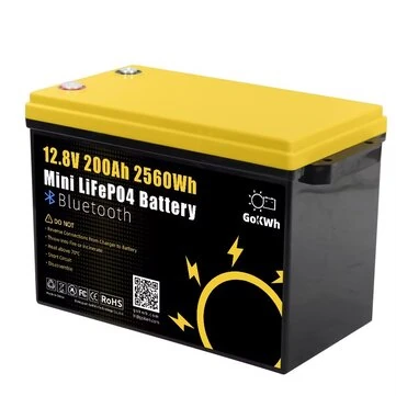 Gokwh 12V 200Ah Mini Bluetooth LiFePO4 Battery Built-in Bluetooth BMS 2560Wh LiFePO4(LFP)  IP65 Protection