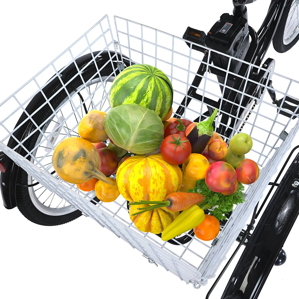 [EU DIRECT] GOGOBEST GF100 Electric Tricycle 36V 20AH Battery 350W Motor Recommended Top Speed 25KM/H 24inch 70KM Max Mileage 200KG Max Load Electric Tricycle