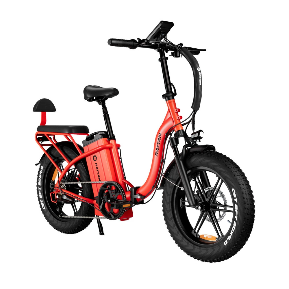 RATTAN LF ULTRA Electric Bike 48V 40.5AH Battery 750W Motor Recommended Top Speed 25KM/H 20 Inch Tire Electric Bicycle 80 KM Mileage Range Max Load 120KG