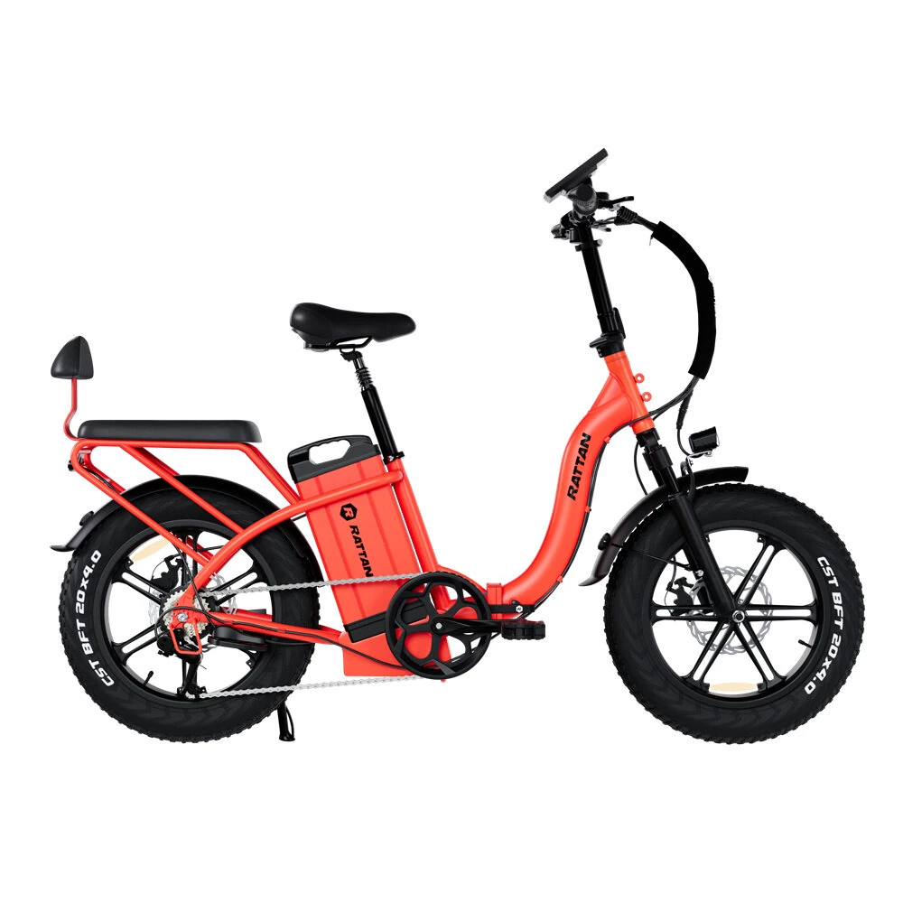 RATTAN LF ULTRA Electric Bike 48V 40.5AH Battery 750W Motor Recommended Top Speed 25KM/H 20 Inch Tire Electric Bicycle 80 KM Mileage Range Max Load 120KG