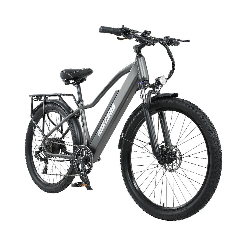 [EU DIRECT] BURCHDA RX70 Electric Bike 48V 20AH Battery 800W Motor Recommended Top Speed 25KM/H 27.5*2.8inch Tires 90KM Mileage 180KG Payload Mountain Electric Bicycle