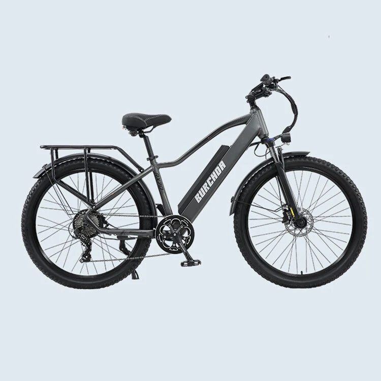 [EU DIRECT] BURCHDA RX70 Electric Bike 48V 20AH Battery 800W Motor Recommended Top Speed 25KM/H 27.5*2.8inch Tires 90KM Mileage 180KG Payload Mountain Electric Bicycle