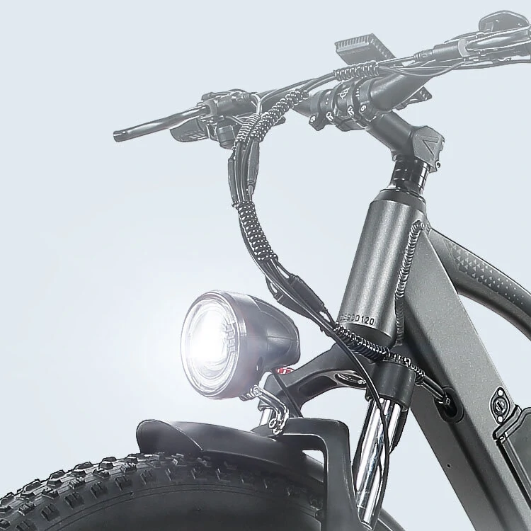 [EU DIRECT] BURCHDA RX70 Electric Bike 48V 20AH Battery 800W Motor Recommended Top Speed 25KM/H 27.5*2.8inch Tires 90KM Mileage 180KG Payload Mountain Electric Bicycle