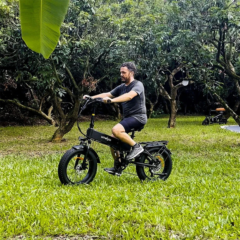 [EU Direct] Windgoo F22 PRO Electric Bike 48V 12.5AH Battery 250W Motor Top Speed 25KM/H 20inches Tires 60-70KM Max Mileage 120KG Max Load Folding Electric Bicycle