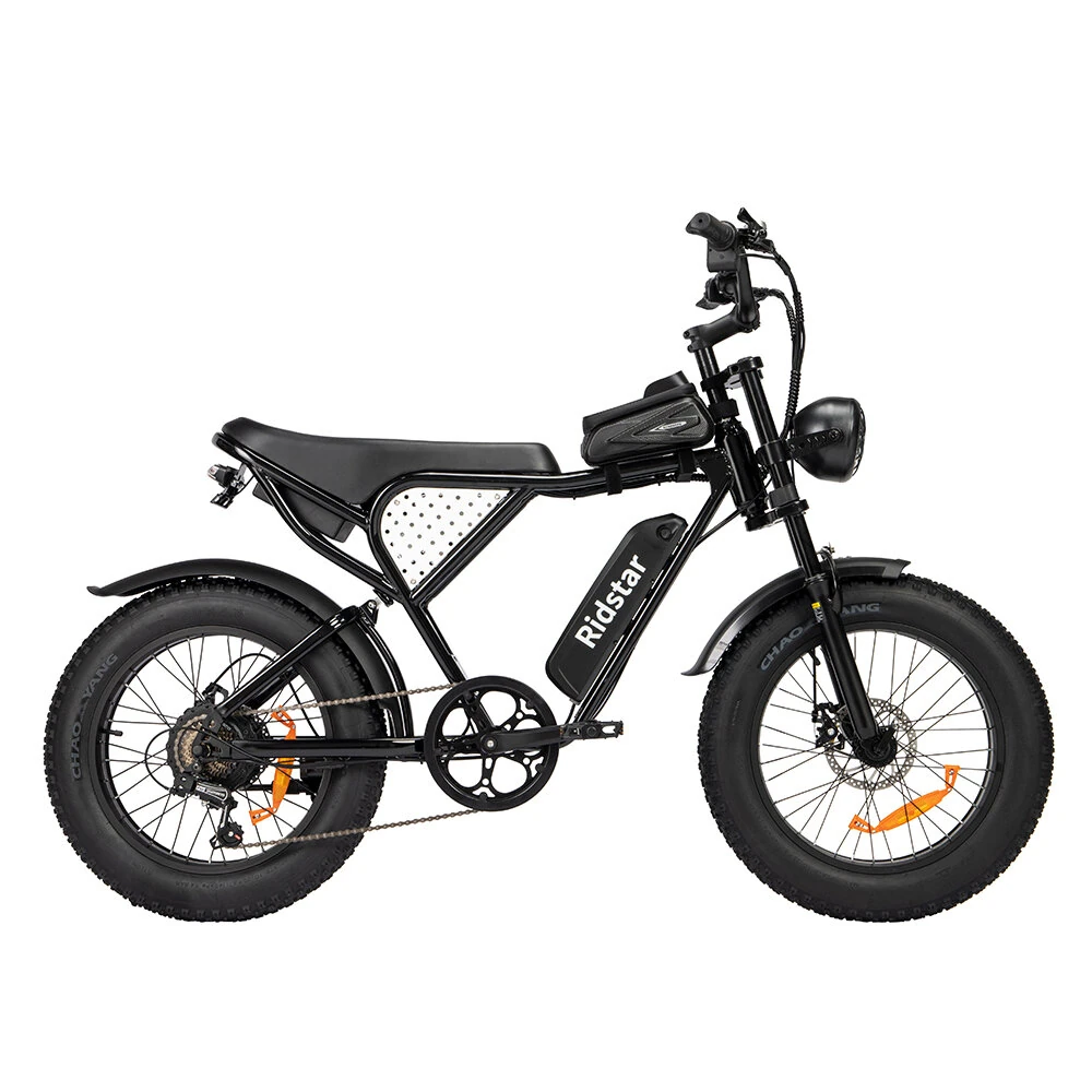 [EU DIRECT] Ridstar Q20 Mini Electric Bike 48V 15AH Battery 1000W Motor Recommended Top Speed 25KM/H 20inch Tires 60-80KM Max Mileage 150KG Max Load Electric Bicycle