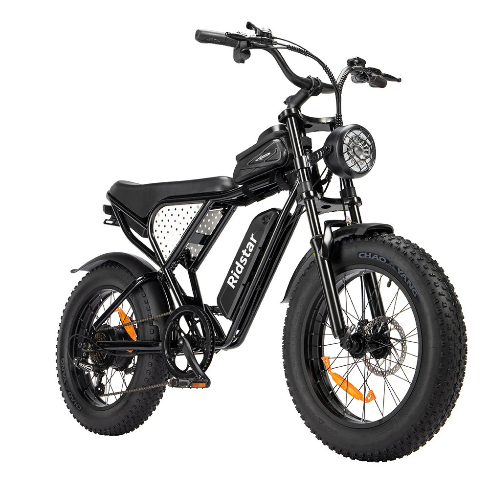 [EU DIRECT] Ridstar Q20 Mini Electric Bike 48V 15AH Battery 1000W Motor Recommended Top Speed 25KM/H 20inch Tires 60-80KM Max Mileage 150KG Max Load Electric Bicycle