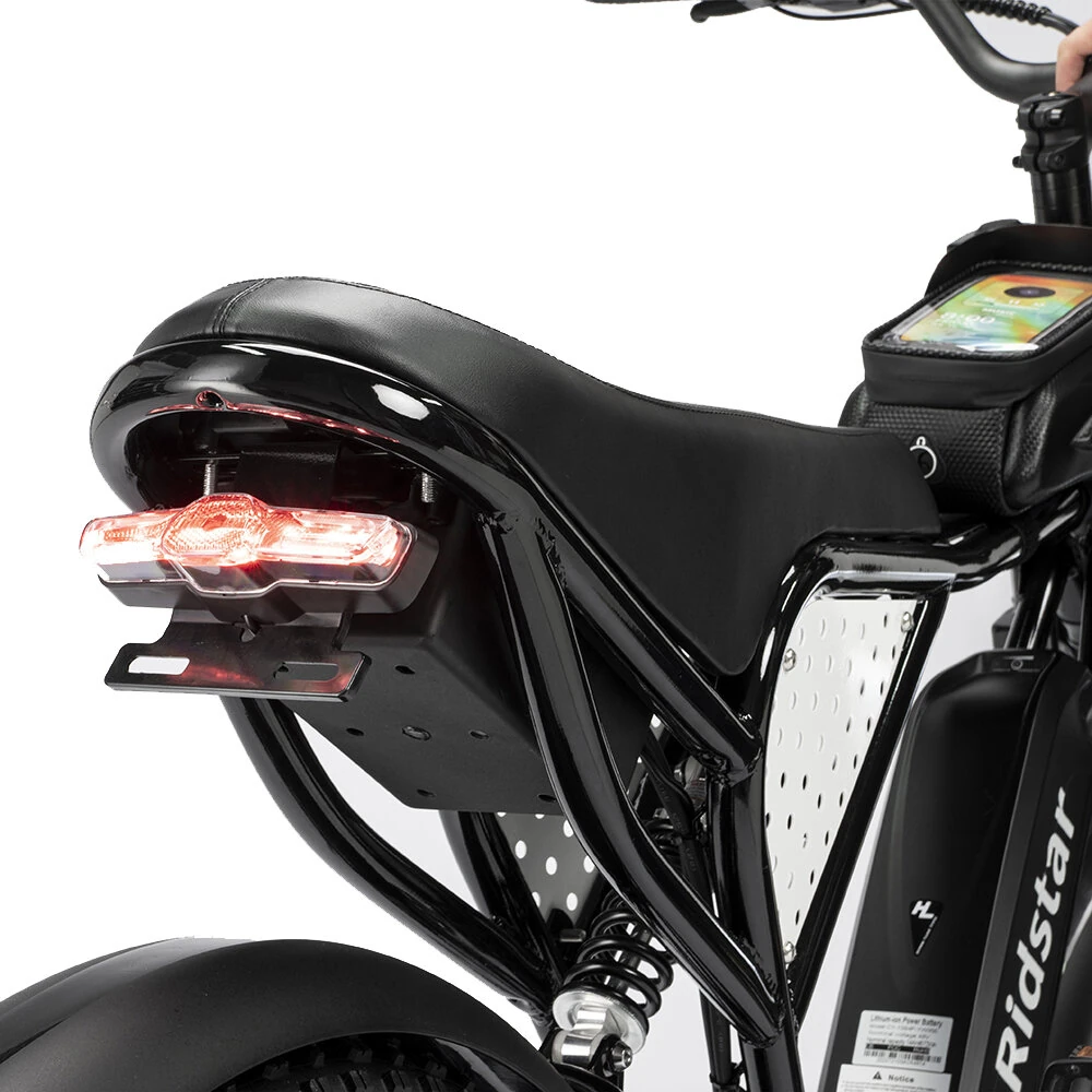 [EU DIRECT] Ridstar Q20 Mini Electric Bike 48V 15AH Battery 1000W Motor Recommended Top Speed 25KM/H 20inch Tires 60-80KM Max Mileage 150KG Max Load Electric Bicycle