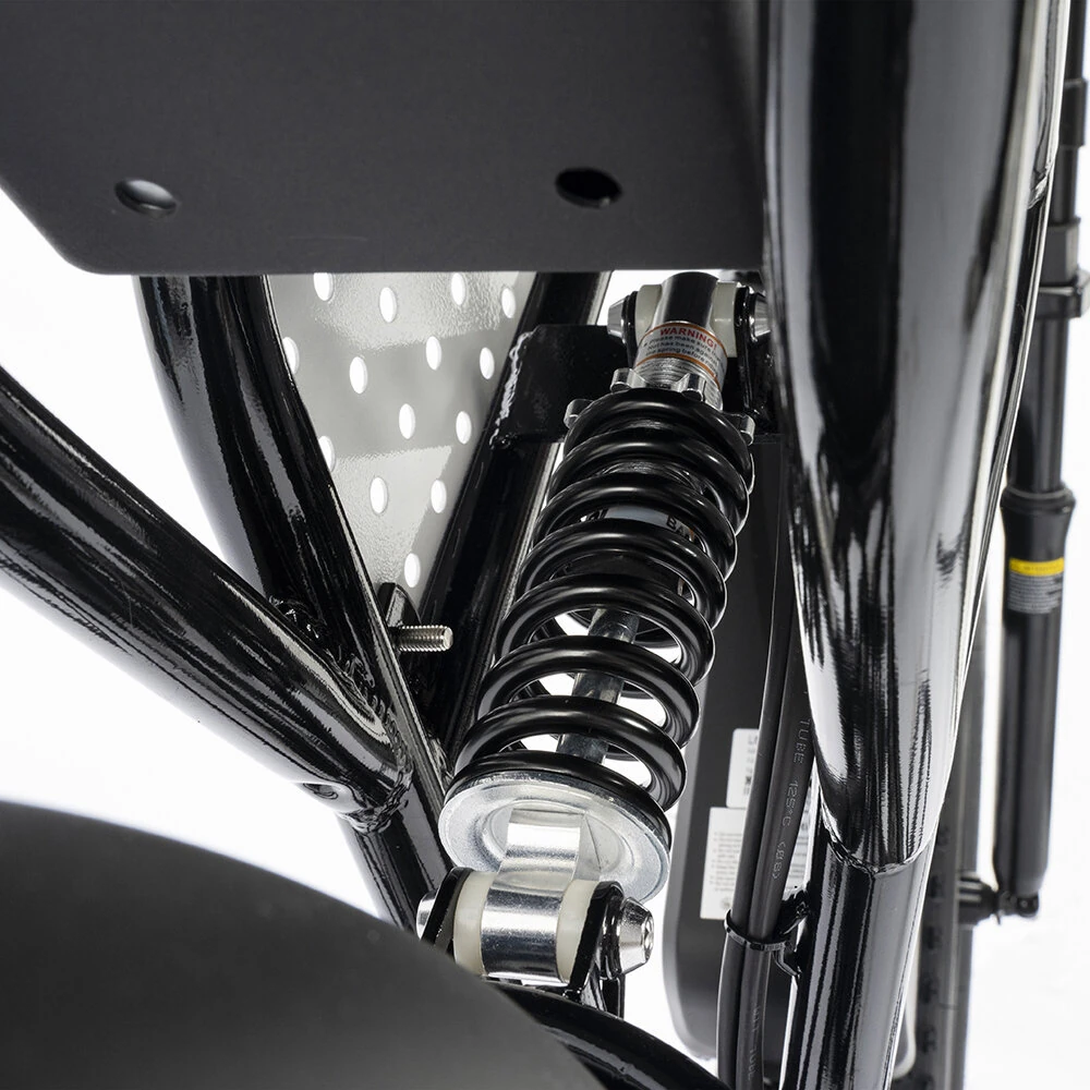 [EU DIRECT] Ridstar Q20 Mini Electric Bike 48V 15AH Battery 1000W Motor Recommended Top Speed 25KM/H 20inch Tires 60-80KM Max Mileage 150KG Max Load Electric Bicycle