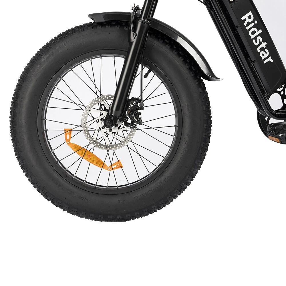 [EU DIRECT] Ridstar Q20 Mini Electric Bike 48V 15AH Battery 1000W Motor Recommended Top Speed 25KM/H 20inch Tires 60-80KM Max Mileage 150KG Max Load Electric Bicycle