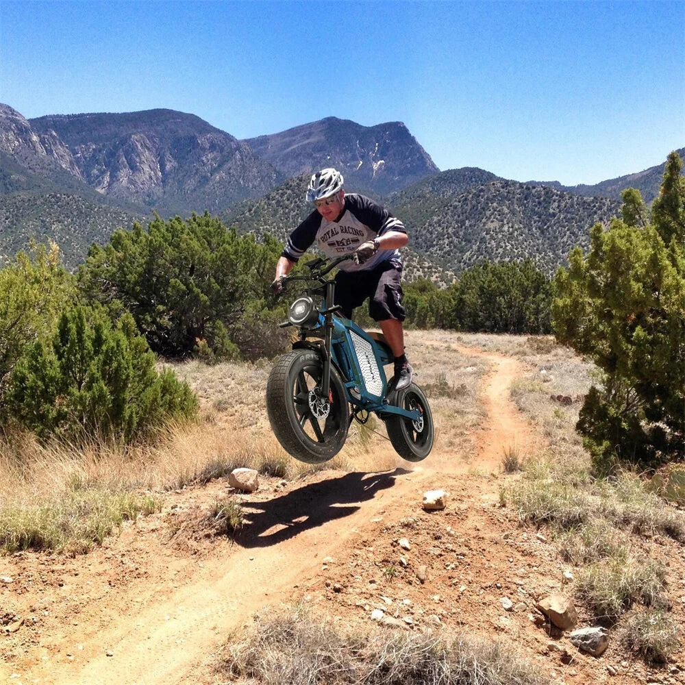 [EU Direct] JANSNO X60 Electric Bike 48V 23AH Battery 750W*2 Dual Motors Recommended Top Speed 25KM/H 20inches Tires 80KM Max Mileage 150KG Max Load Electric Bicycle